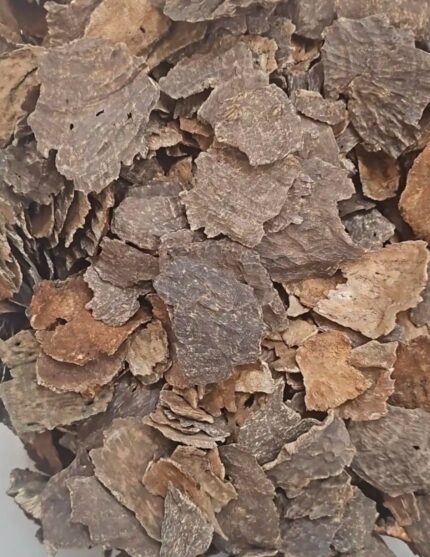 عود هندي جار  ( التوله)